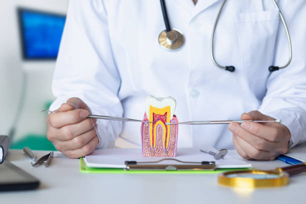 Best Urgent Tooth Repair  in , OH